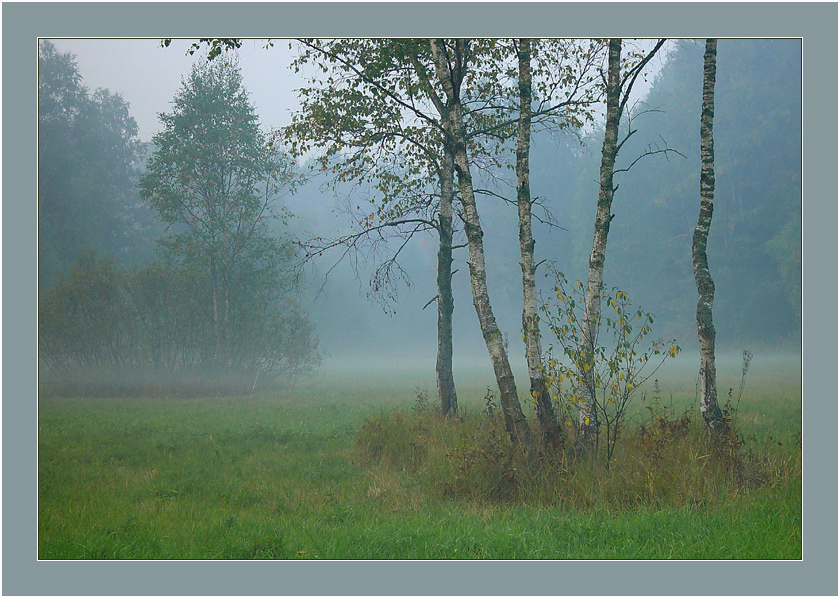 ОПЯТЬ ПРО ТУМАН (2)