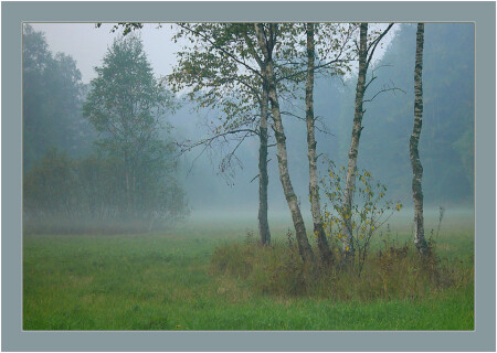 ОПЯТЬ ПРО ТУМАН (2)