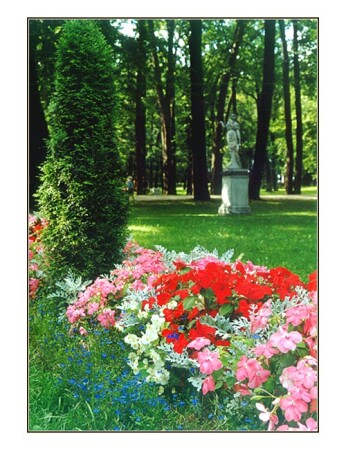 Серия "Классический Петербург"