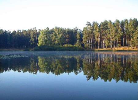 лесное озеро