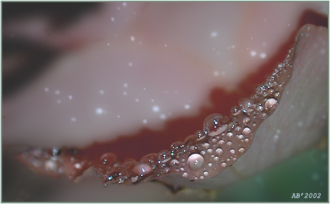 Drops...