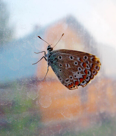 В поисках выхода