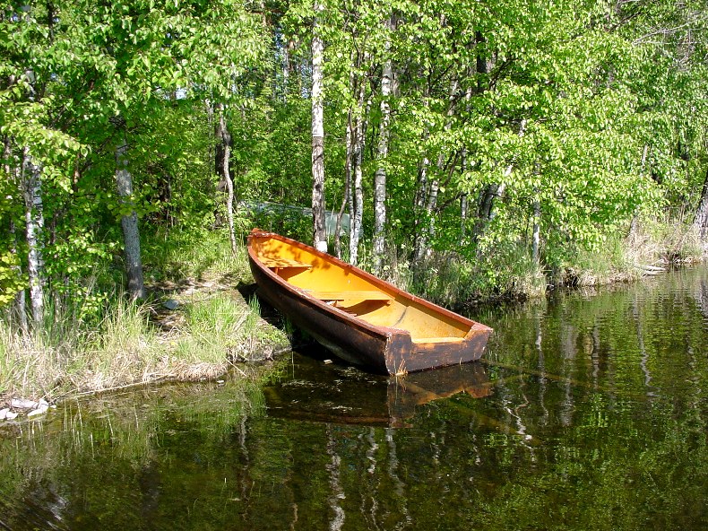 На Вашозере