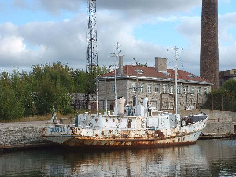 Юнга
