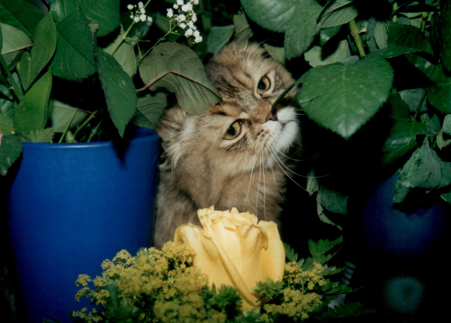 на разведке