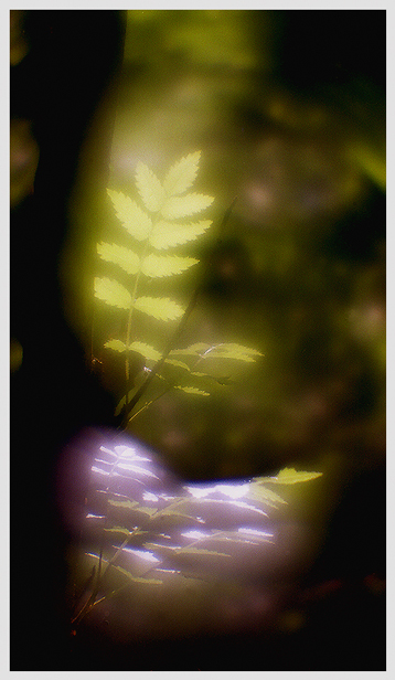 Light
