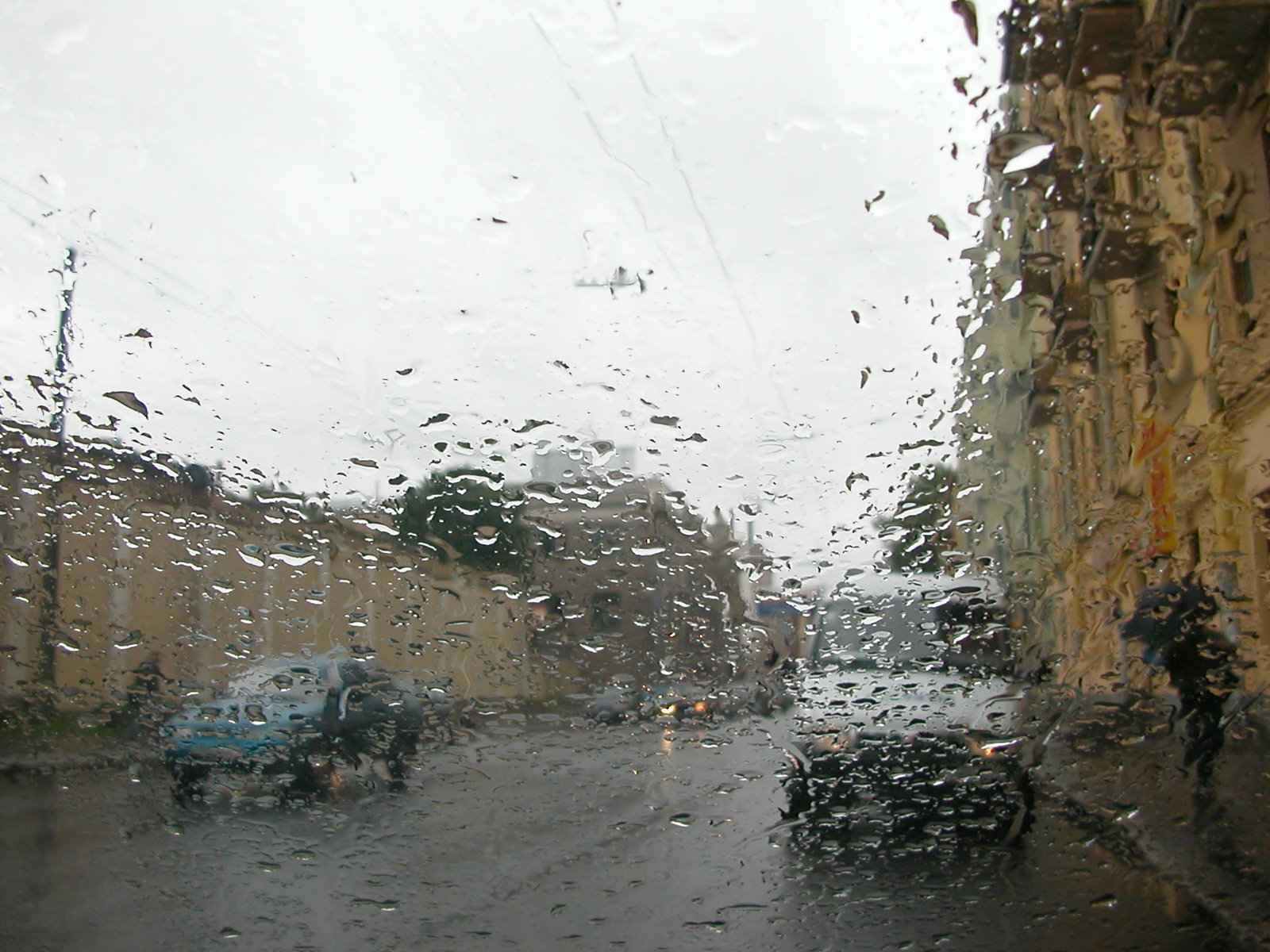 Мокрый взгляд