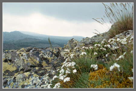 Южный Урал [14] - камни и цветы