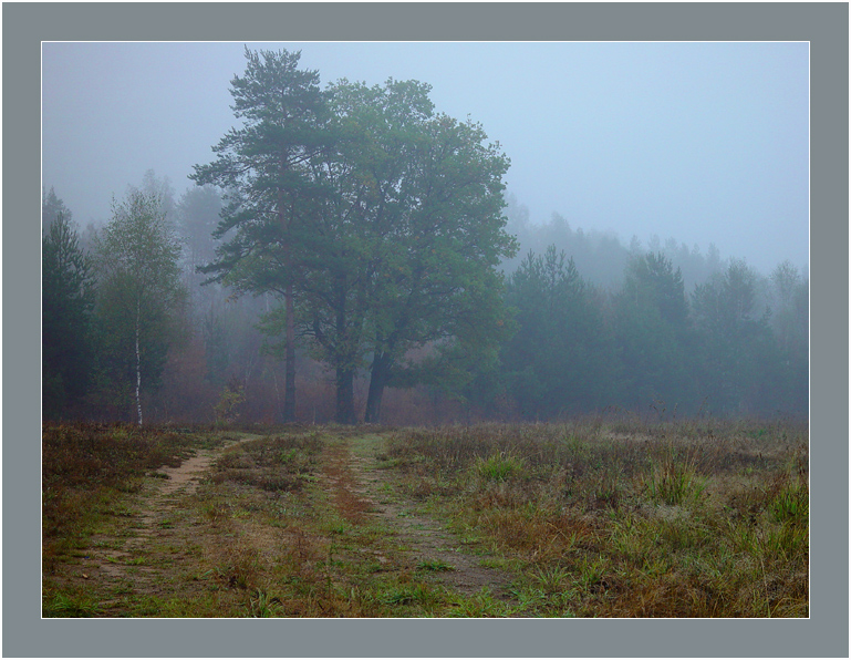 Кадр Dsc04864