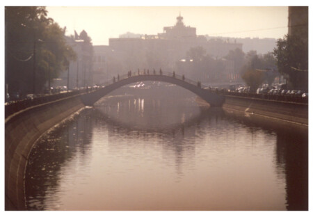 Муравьиное утро