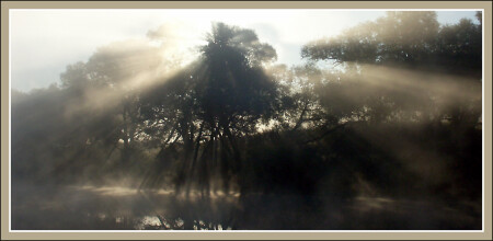 Пахровое утро