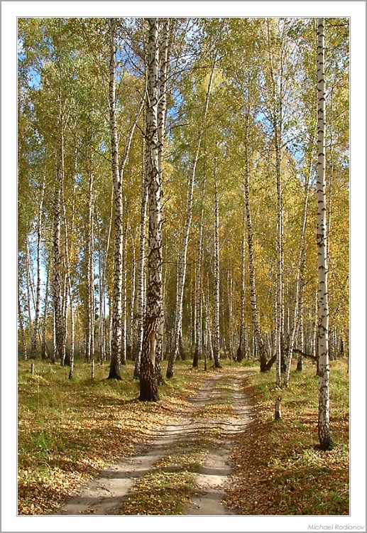 Осенние этюды: #3