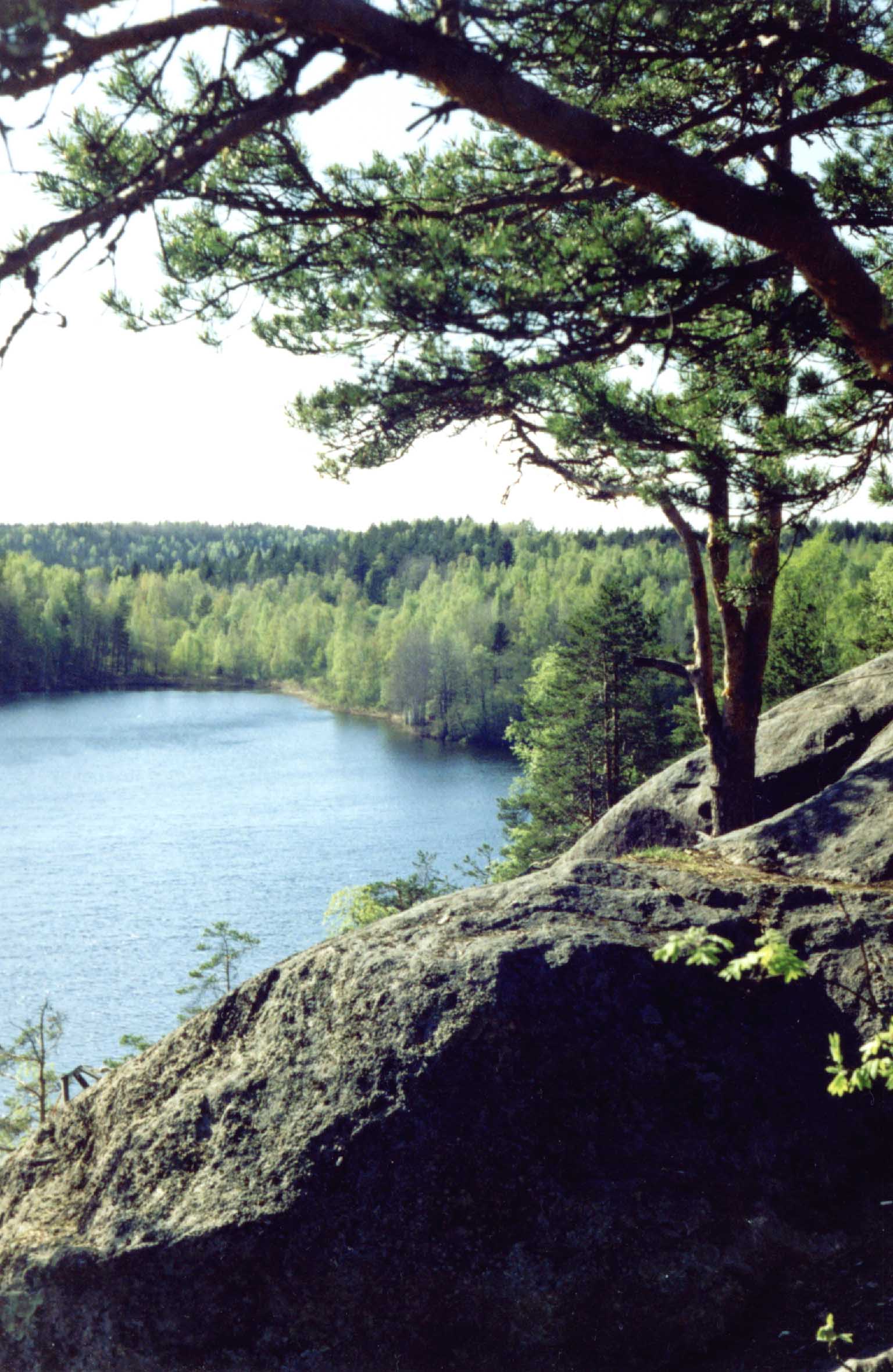 У озера