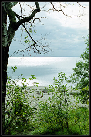 пейзаж, почти осенний