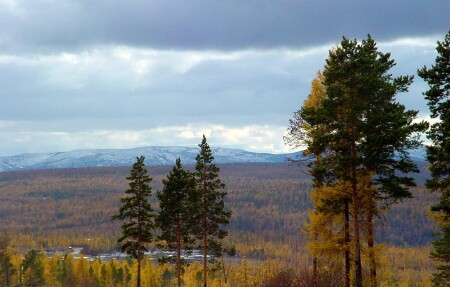 Осень в Якутии