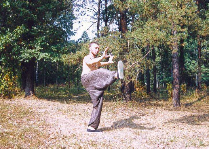 Спортсмен, занимающийся у-шу