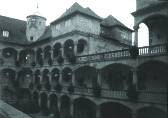 Mrachnyj zamok