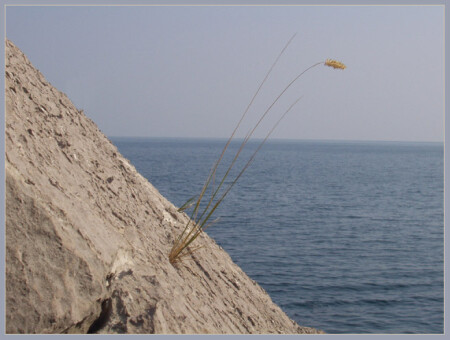 Четвертая стихия