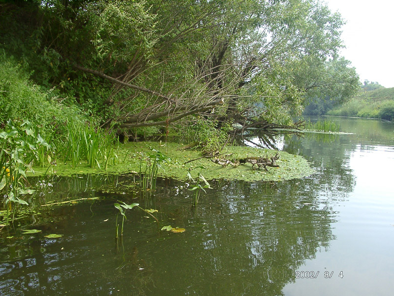 река