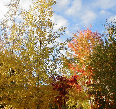 &quot;унылая&quot; пора