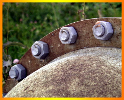 Сизые гайки