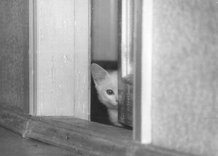 Замуровали демоны...