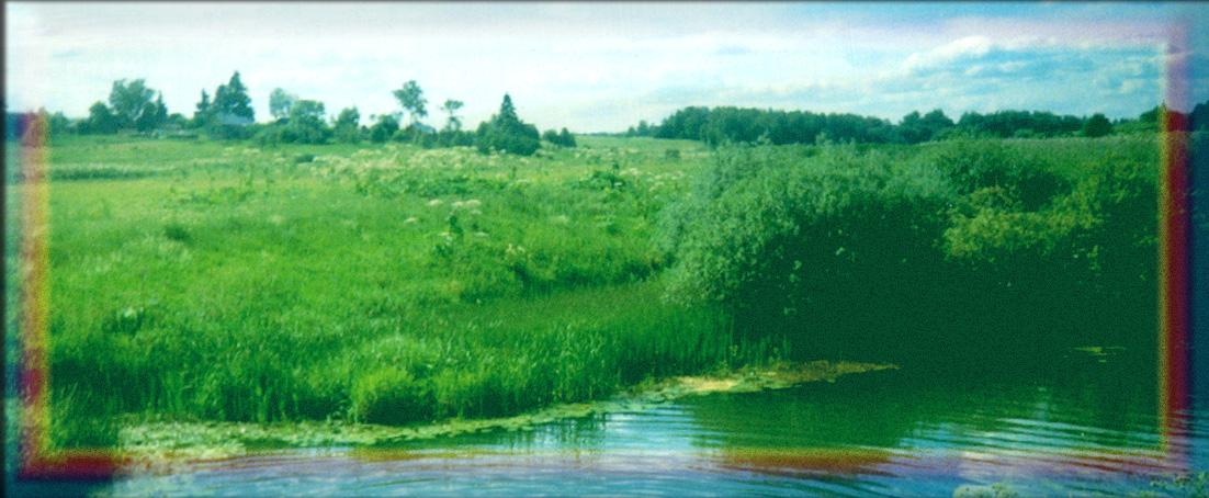 простор
