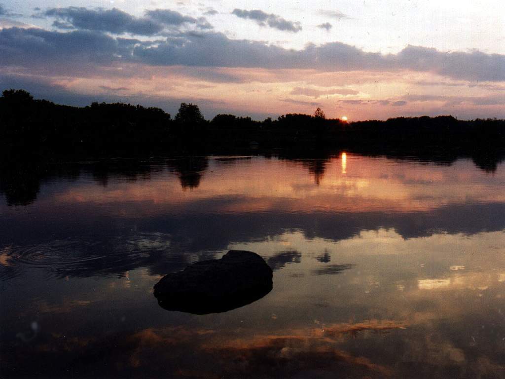 Палитра