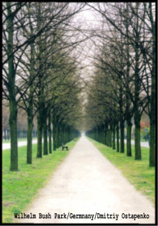 Park in the morning(Utrom v parke)