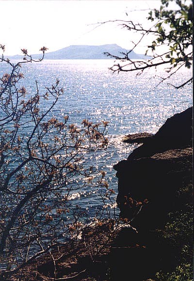 БЛИКИ