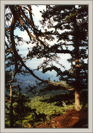 Неведомая страна