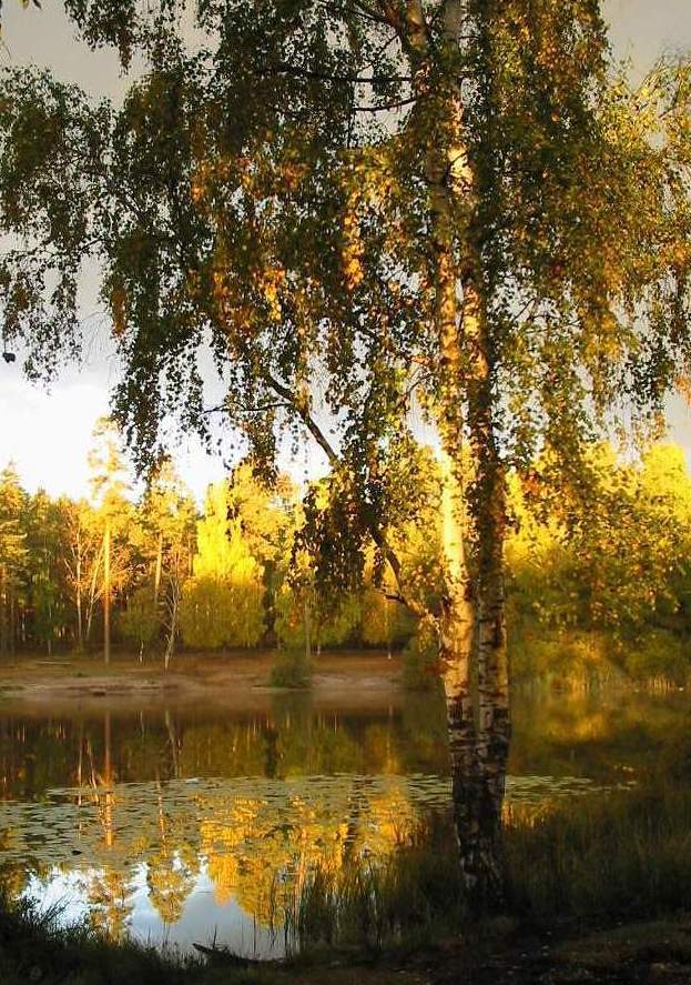 осенняя сказка