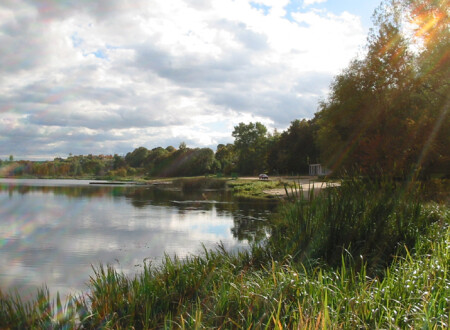 Тихая заводь