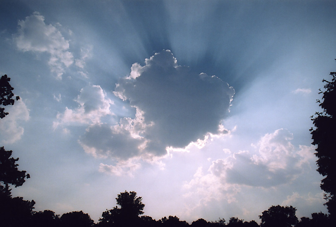Skylight