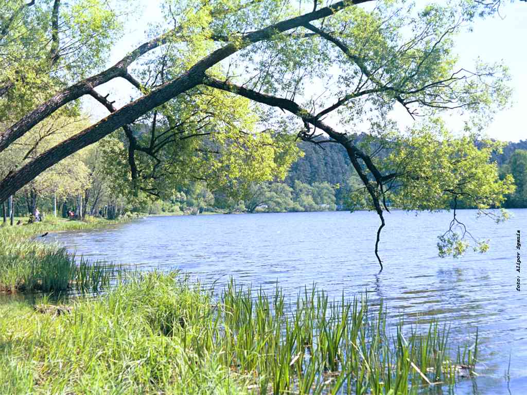В Архангельском