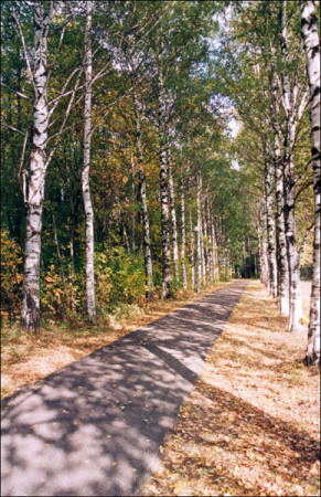Аллея