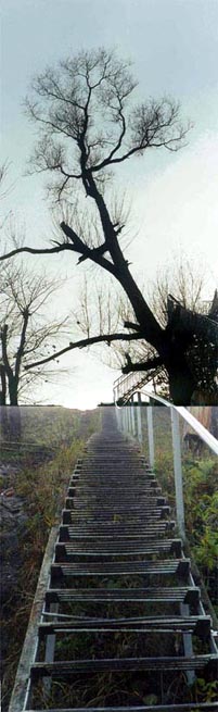 Взгляд вверх