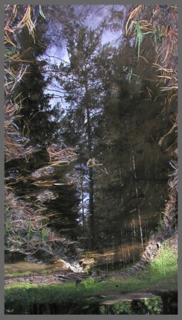 Зазеркалье