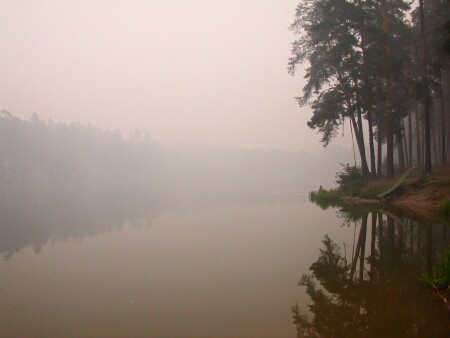 Туман в начале сентября