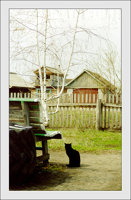 Весенний фантом