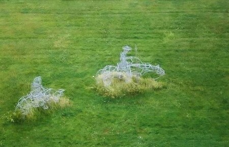 Поросла история травой