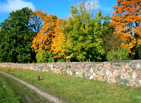 Осеннее настроение