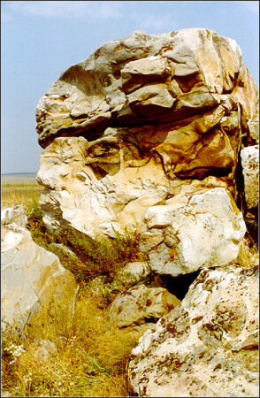 В дозоре.