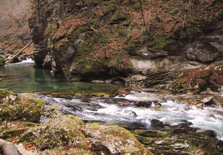 Берег посередь Словении