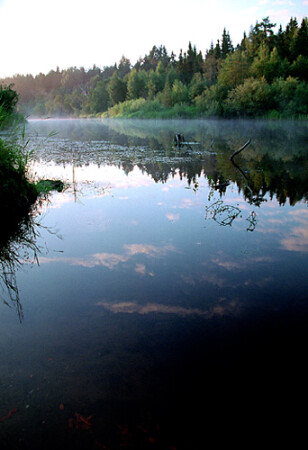 Оттенки утра
