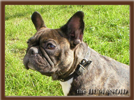 Расставание с летом. Печаль.