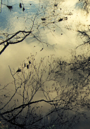 Лабиринт отражений