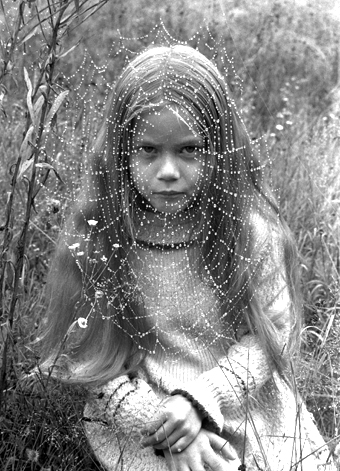 COBWEBS