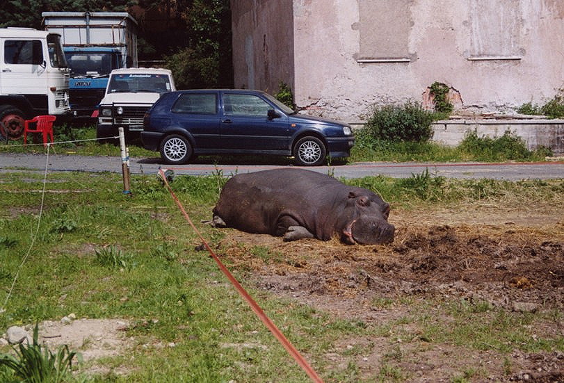 Запарковался...