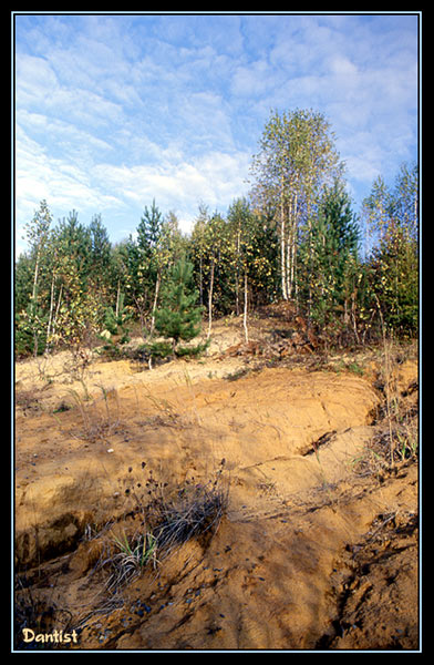 Придорожье